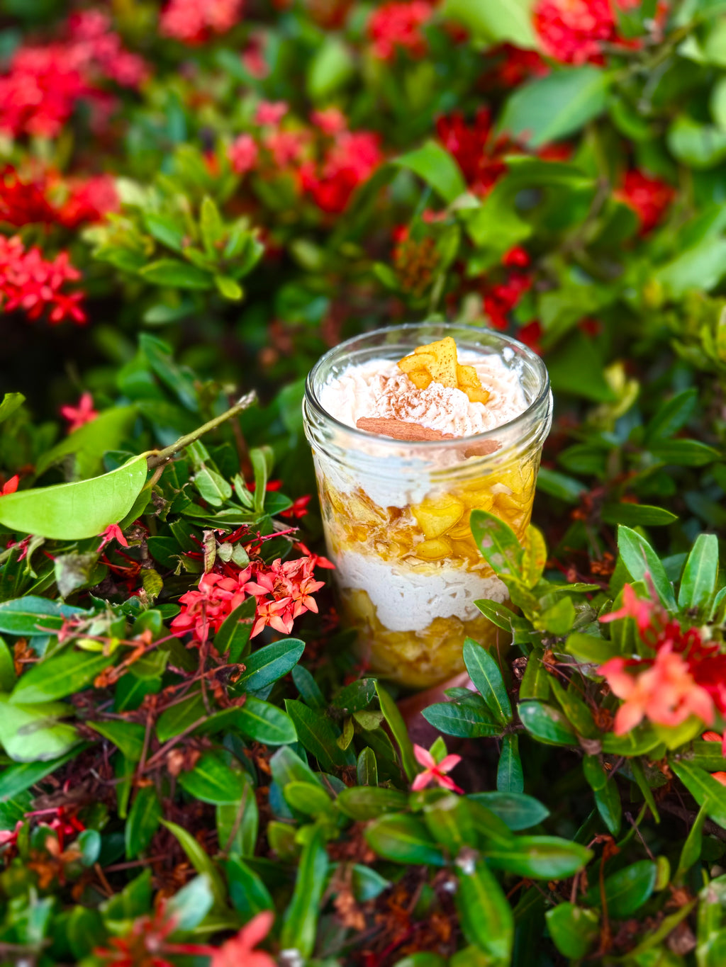 MelCup : Edition à Offrir : Tarte Tatin