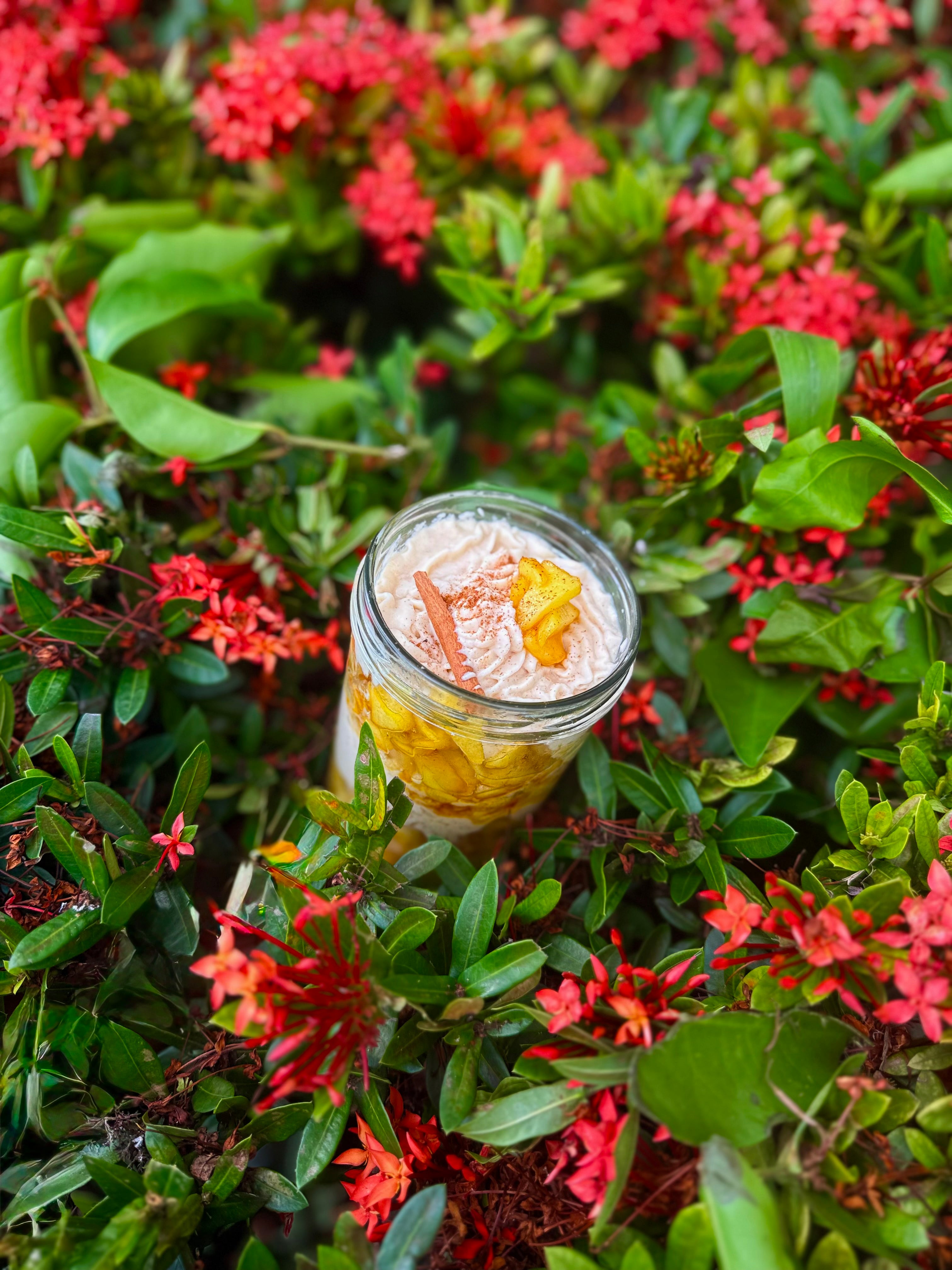 MelCup : Edition à Offrir : Tarte Tatin